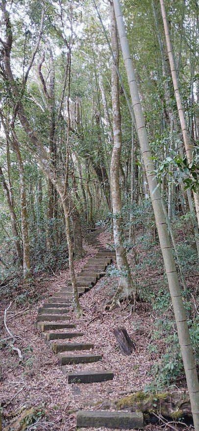 2025 1/27 石壁山_2700020