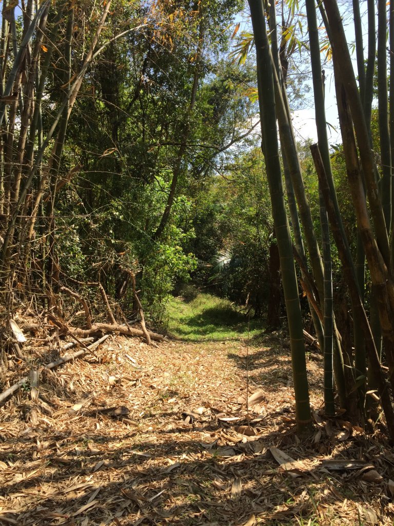 20220305高雄兔和山_1633578