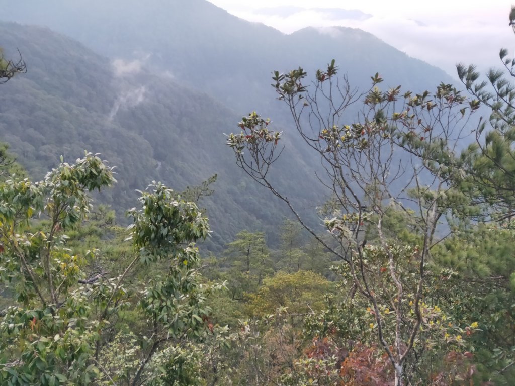 鳶嘴山日出_896702