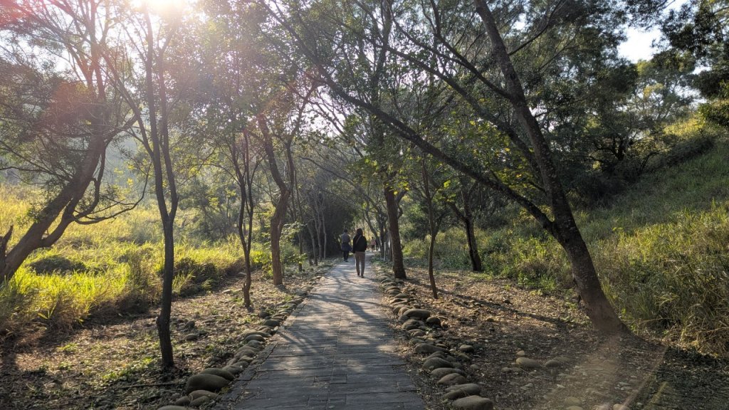 竹坑南寮登山步道_2719363