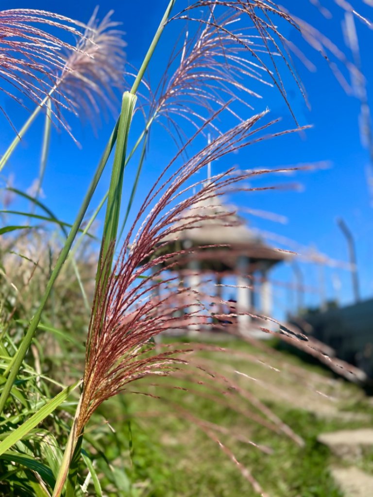 基隆山賞芒趣-山尖步道-百年三層橋-摸乳巷封面圖