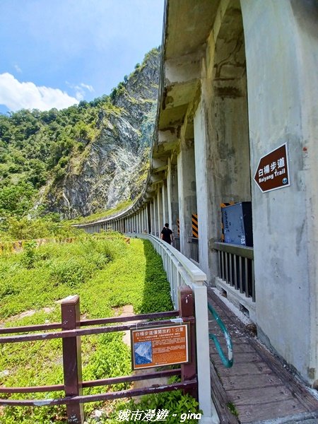 【花蓮秀林】台灣百大必訪步道。 白楊步道_2230629
