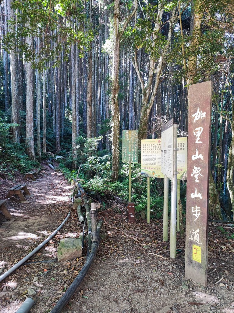 加里山-小百岳#34-苗栗縣南庄鄉_2236722