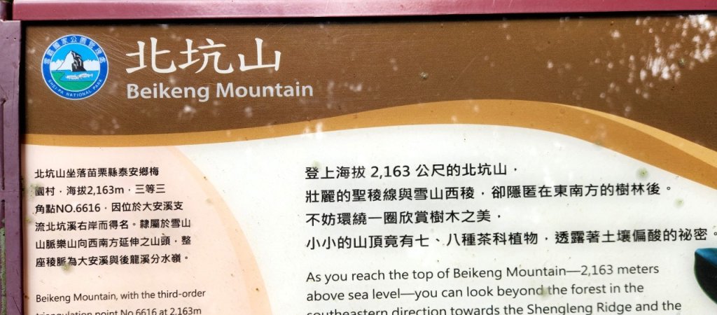 【中級山縱走】觀雪縱走（雪見大板根，仰天神木，北坑山，司馬限林道）_2741222