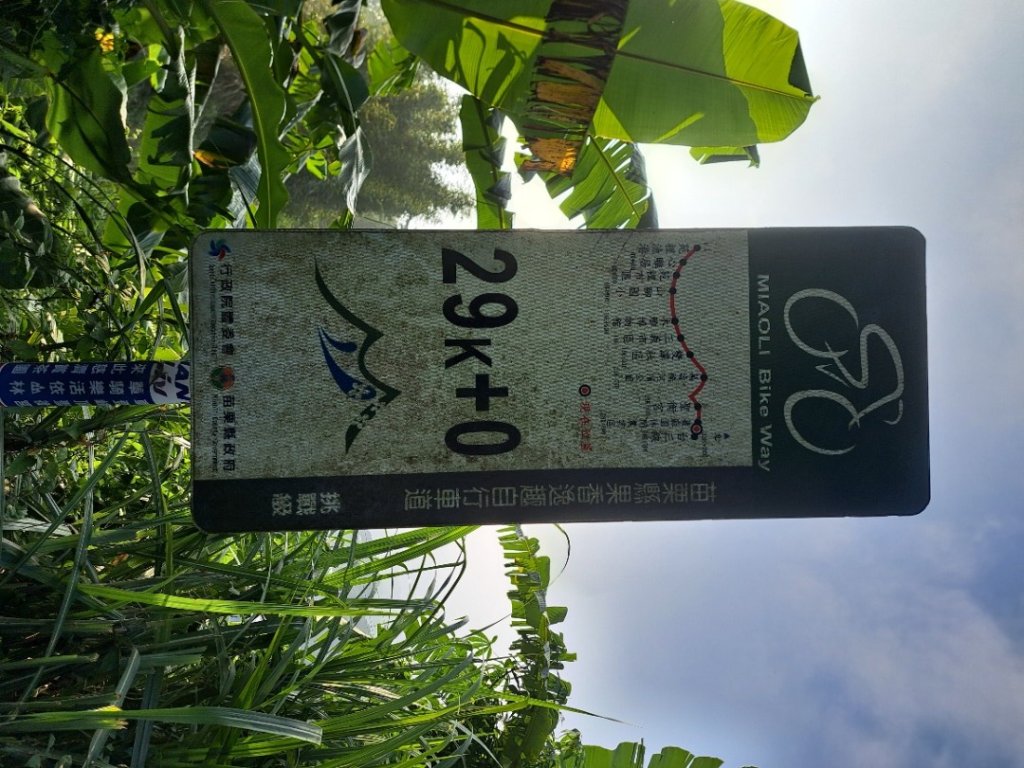 2026樟之細道：出關（聖關），老官道，挑沙古道及新開至卓蘭封面圖
