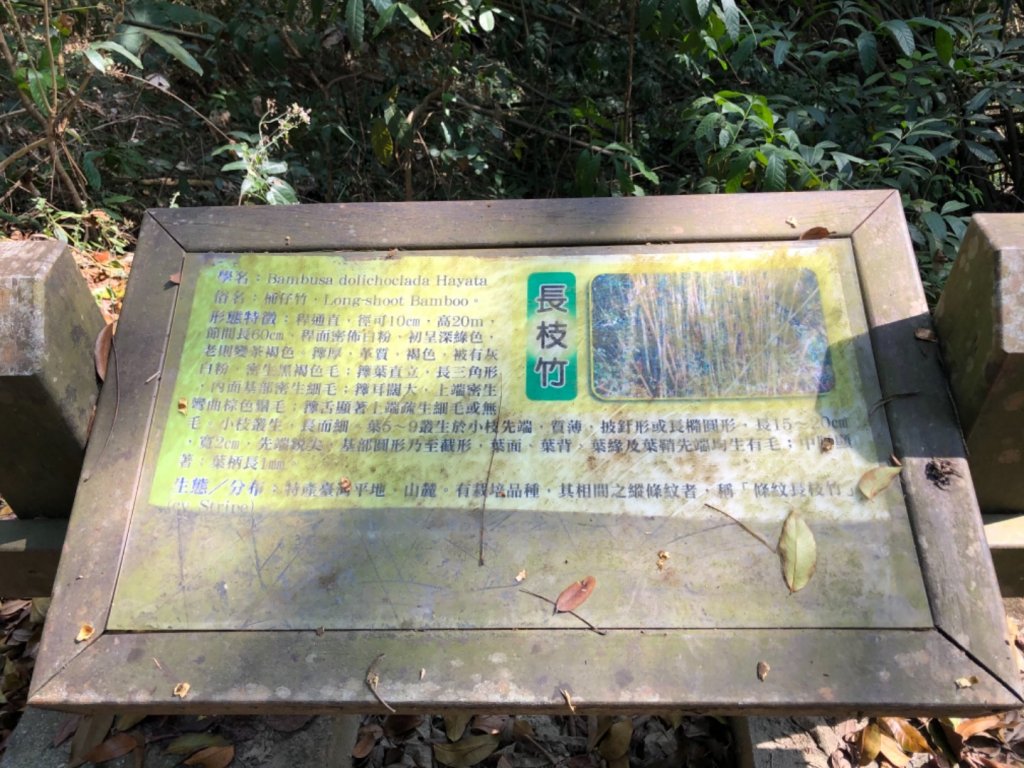 台南市東山區林安森林步道、插旗嶺圖根點_1268575