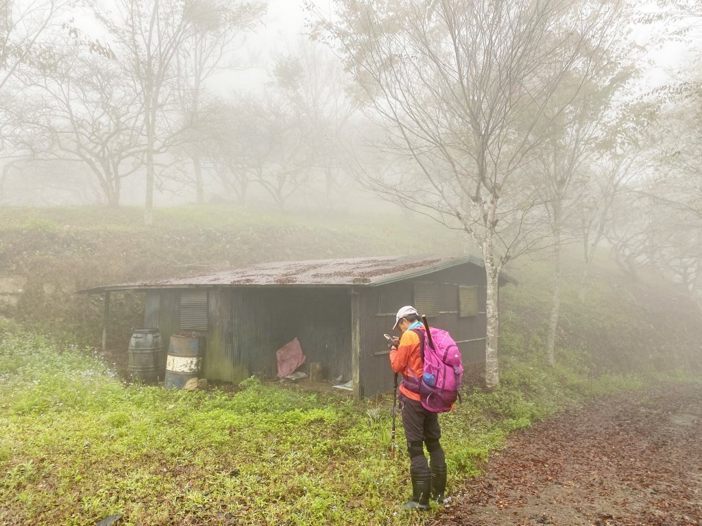 霧雨濛濛南橫玉穗山行 202118_1233428