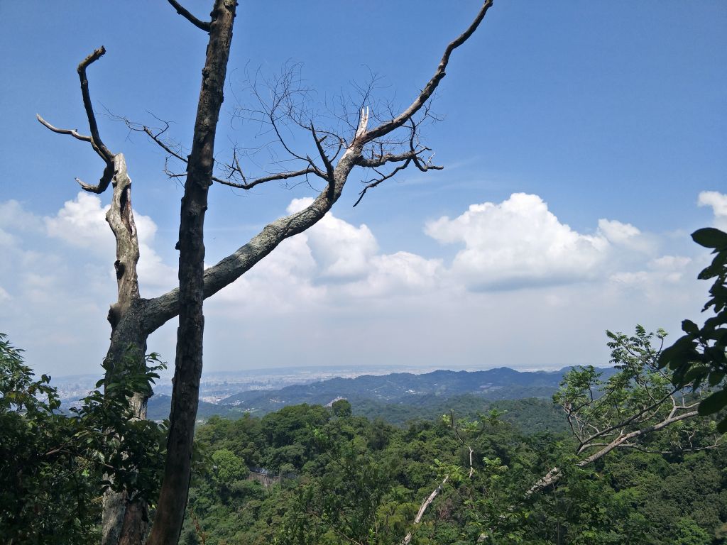 大坑4號步道&頭嵙山_374870