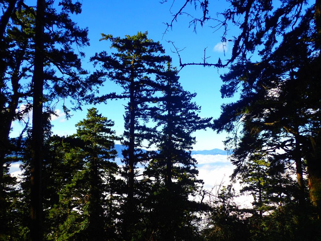 北一段 南湖前四峰_378279