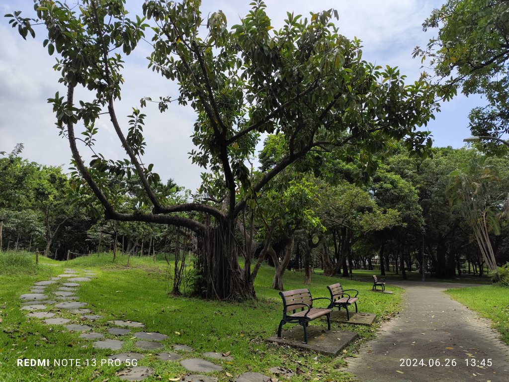 大安森林公園【走路趣尋寶】【臺北健走趣】_2536222
