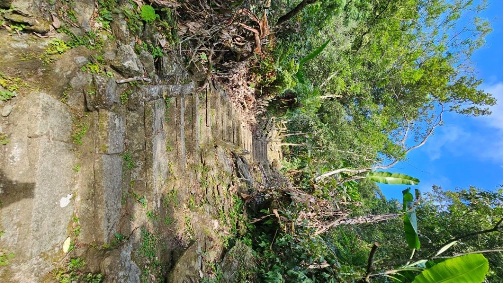 【爬山會爬上癮】五刷小百岳#089鯉魚山。_2824758