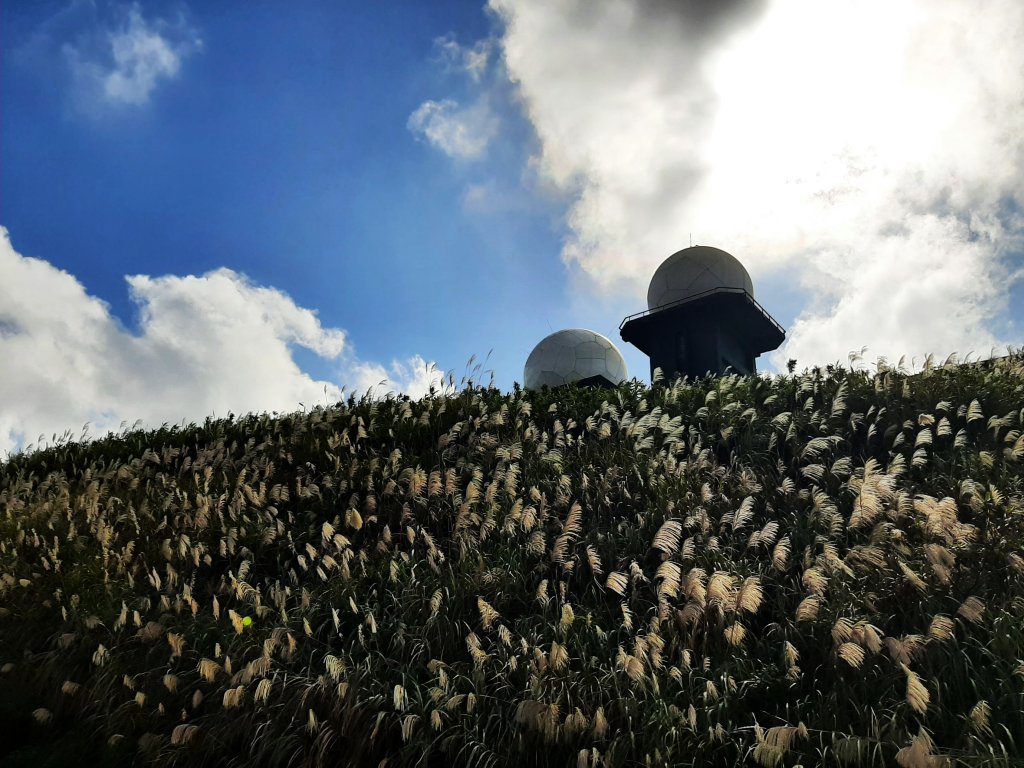 愛在秋芒紛飛時...五分山_2353754