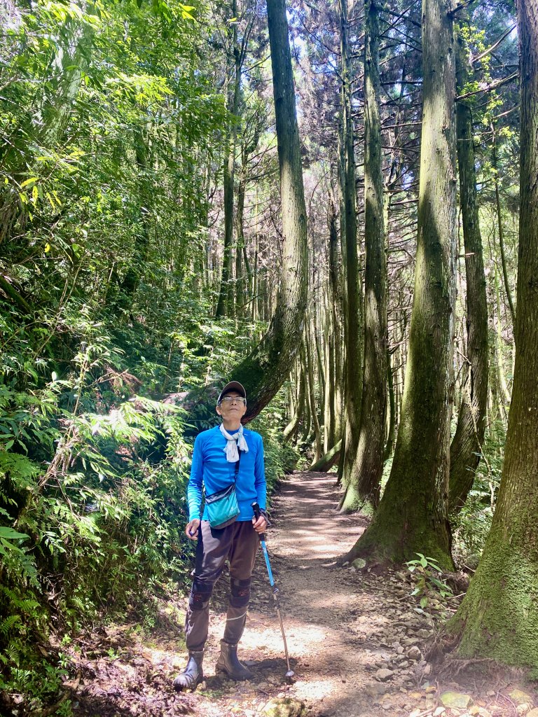 橫嶺山-沙蓮山-笛吹山連走    2022/7/5_1754741