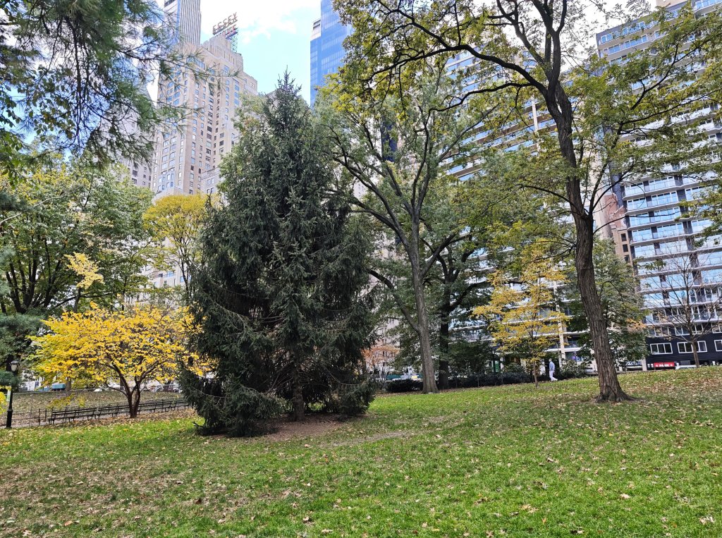 [紐約馬之行-10] 2025_1101 紐約中央公園_2945006