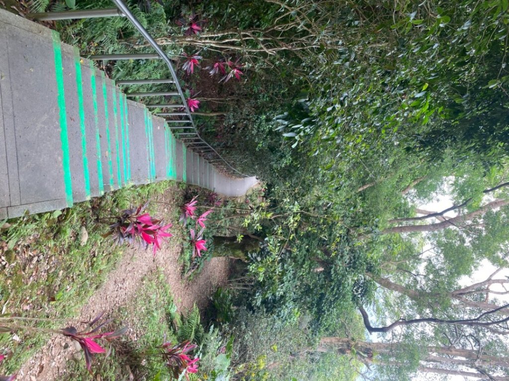 20230415美崙山_2113090