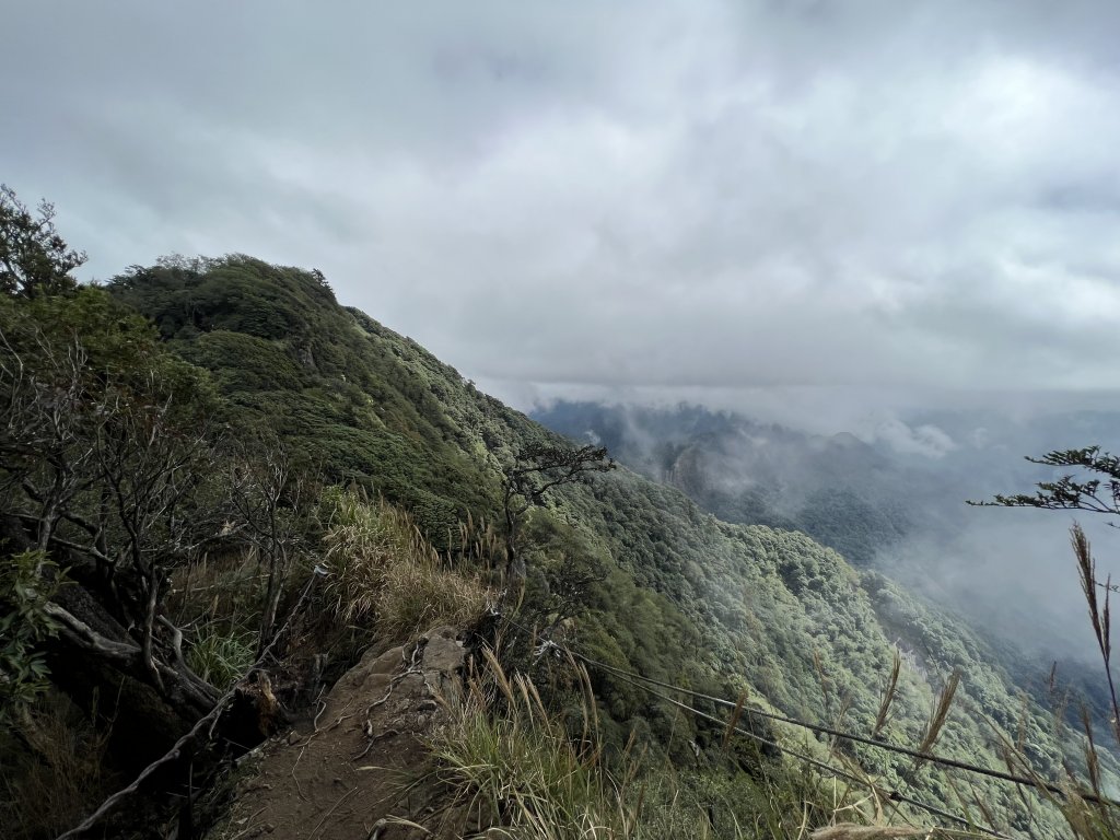 加里山 大坪登山口 杜鵑嶺 加里山P形_1901020
