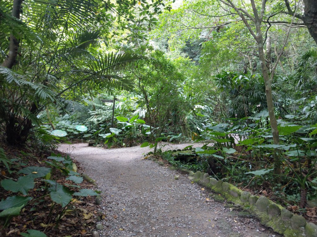 140高地公園(抱子腳山)→軍功山→富陽自然生態公園_1493669