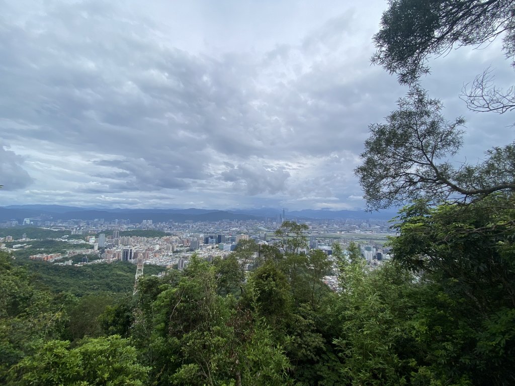 20240519金面山親山步道_2508067