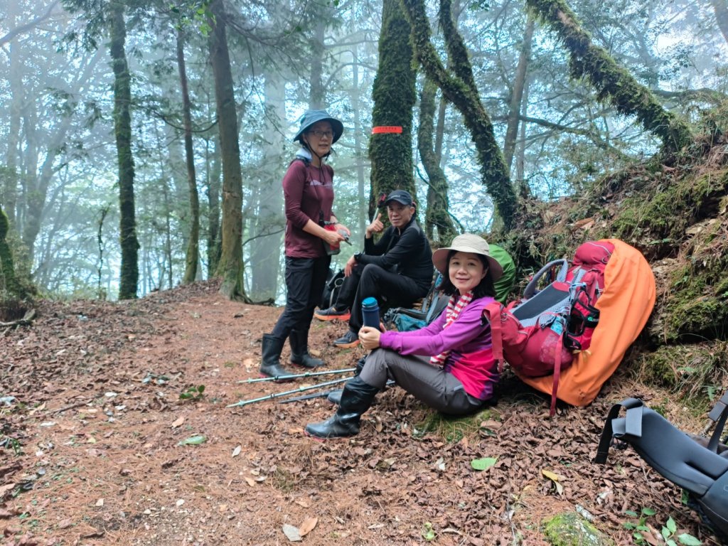 20240316 馬博8天縱走~第一天，東埔登山口到觀高工作站_2470736