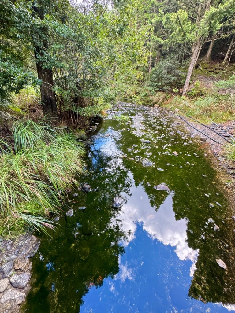 觀霧-榛山步道_2926016