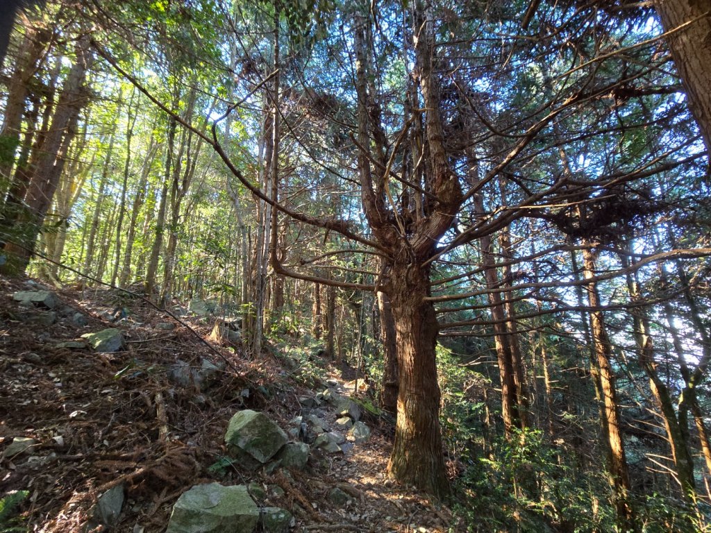屋我尾山（谷關七雄）_2664180