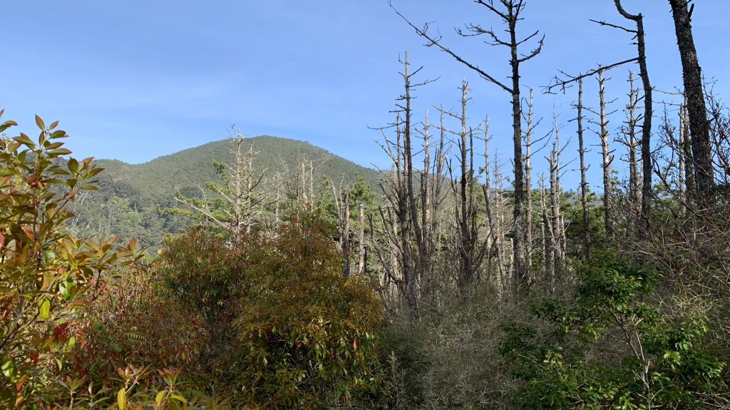 宜蘭 大同 台中 和平 羅馬環形縱走_2116335