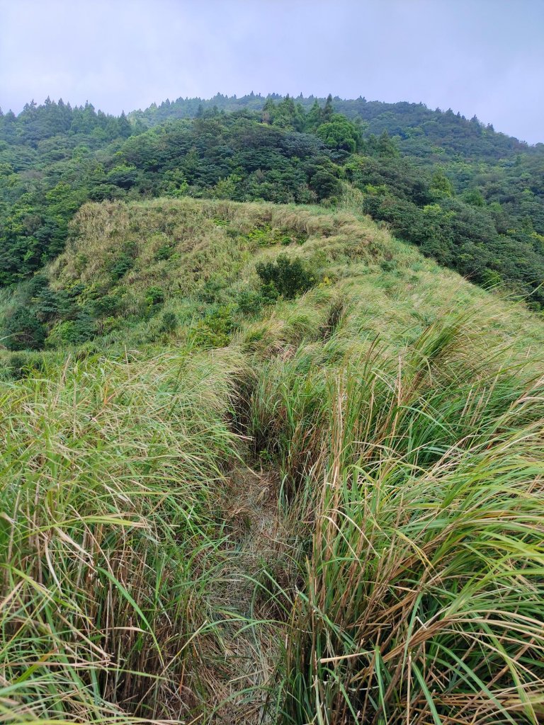 陽明山系-七股山_1465082