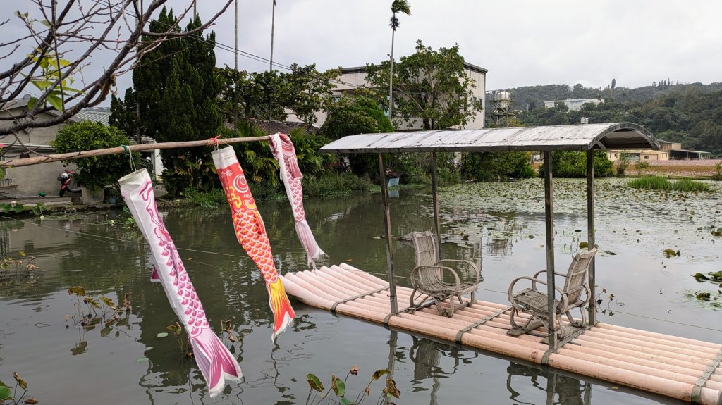 大溪花海的邀約_2650454