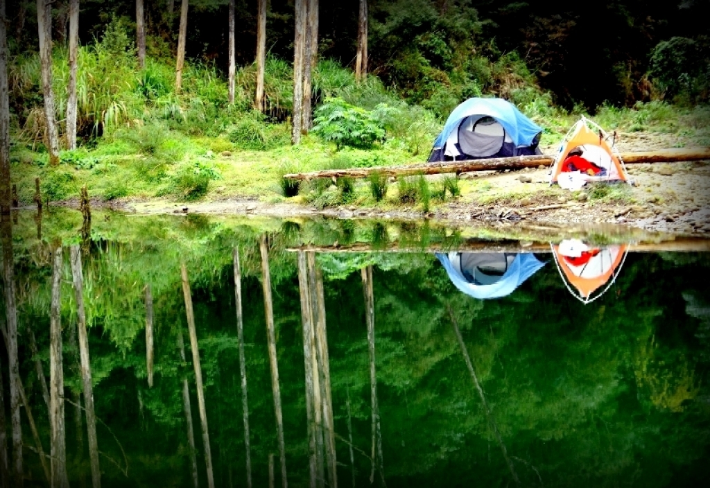 ◎ 水漾森林-美麗靜地 篇_95291