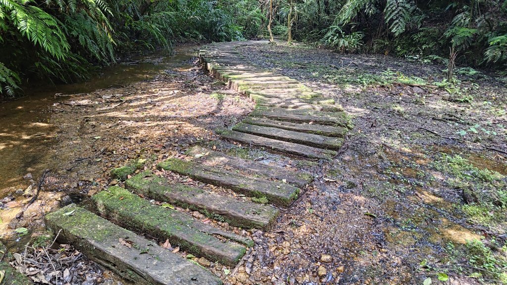 柴寮古道、中坑古道封面圖