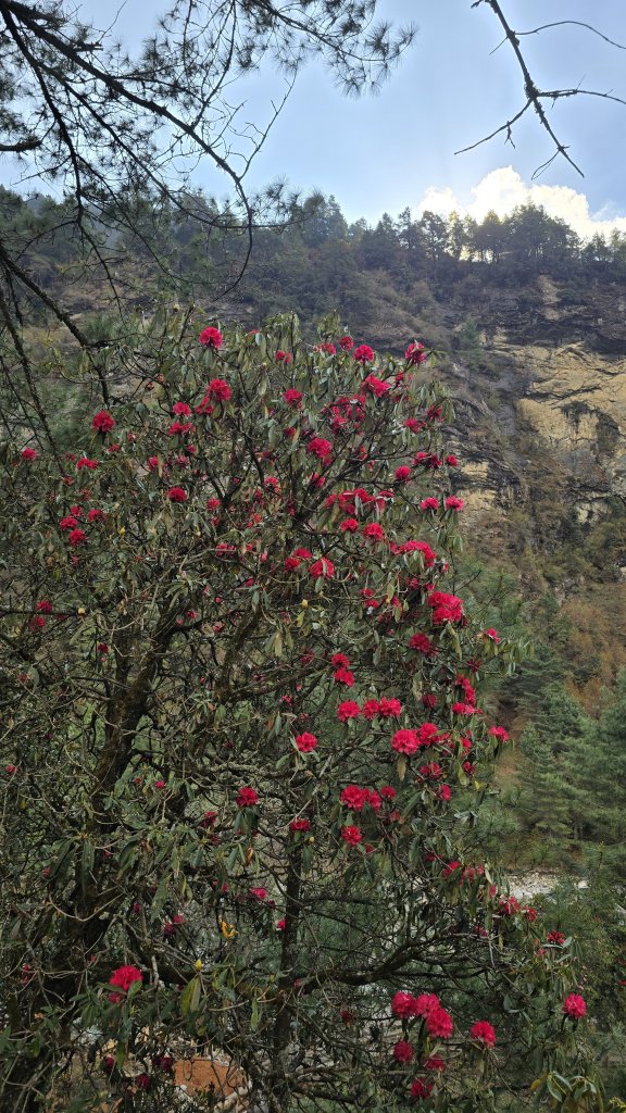 20250411-20250428 尼泊爾EBC + Gokyo Lake_2778388