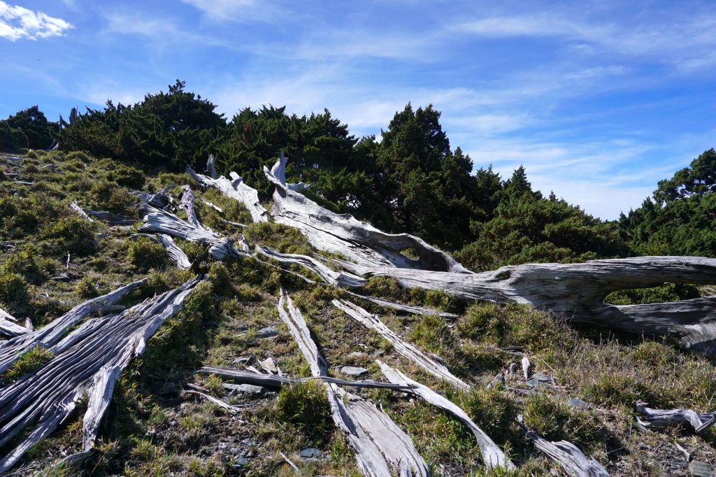 八通關古道西段（三）秀姑坪＆秀姑巒山_392011