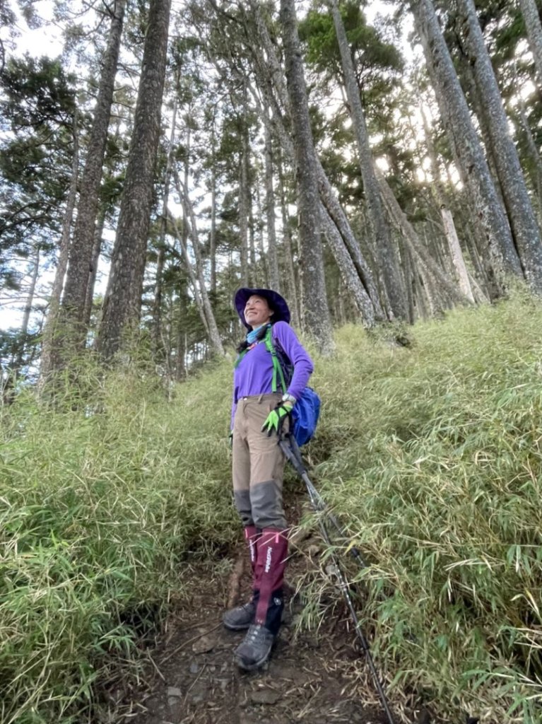 中橫之 屏風山_2611909