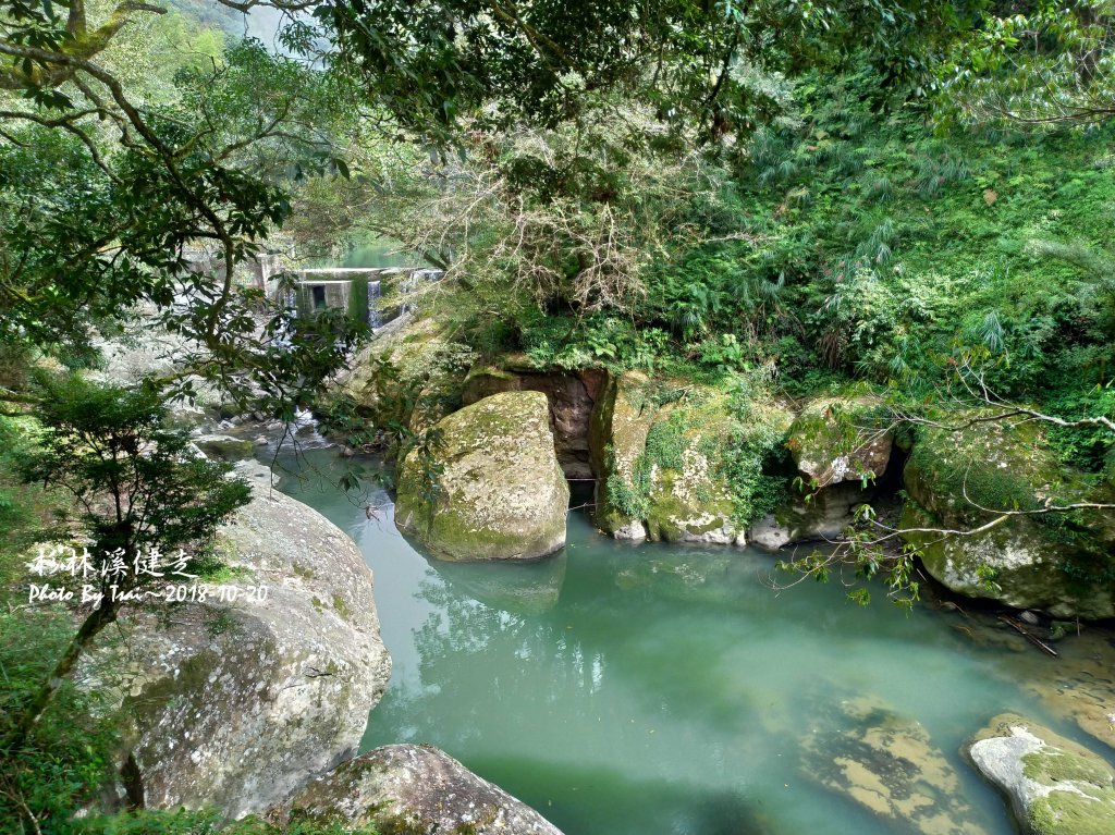 杉林溪森林健走20181020_448373