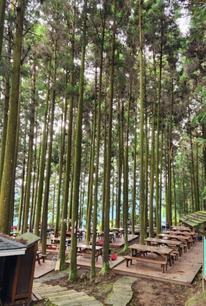 【中級山】有一種美，令人不想回家，新竹鵝公髻山_2744639