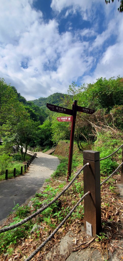 2022-08-20暖東峽谷步道_1813094