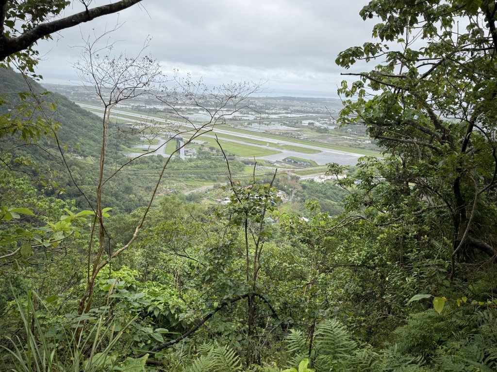 佐倉步道_2704774