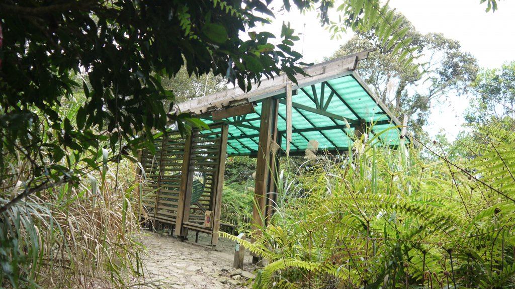 水社大山登山健行趣(中級山)_1510857