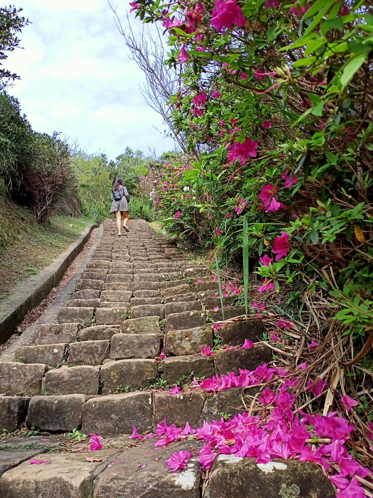 【小百岳集起來】落英繽紛、視野遼闊基隆山_1293309