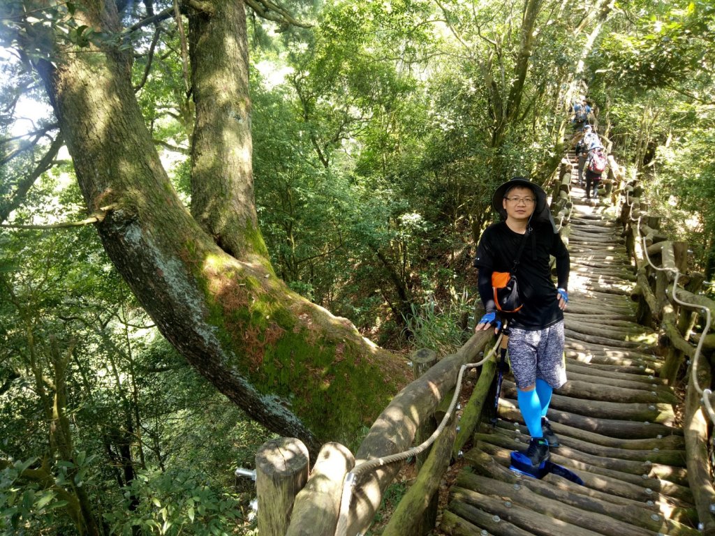 登我的山封面圖