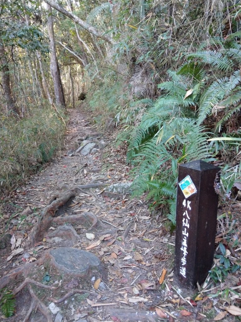 谷關七雄之八仙山（1）（靜海寺登山口）_745902