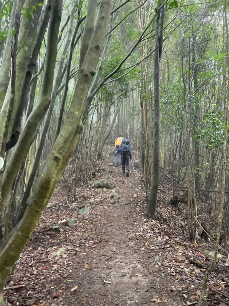 台中｜和平 屋我尾山_1661726