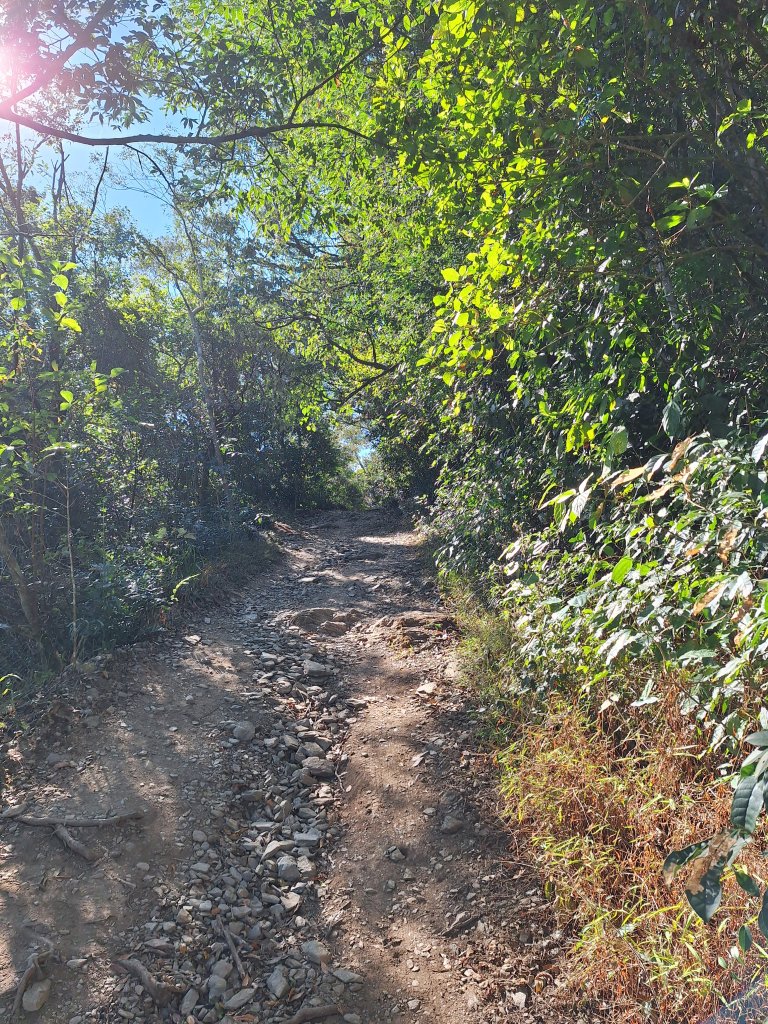 德文山(觀望山)20260105_2978637