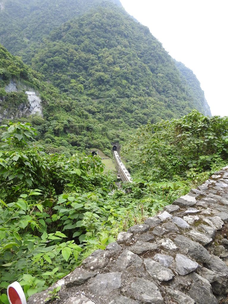 20180512 清水斷崖之匯德步道_332687