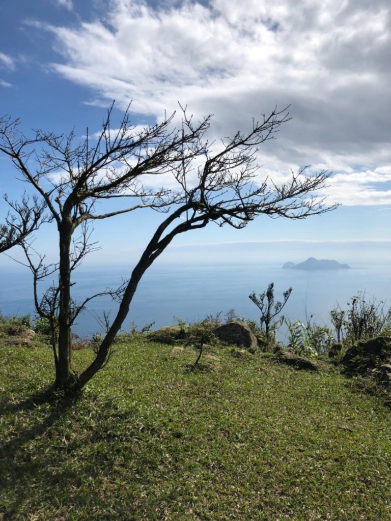 灣坑頭山草嶺古道線無敵山海美景_510907