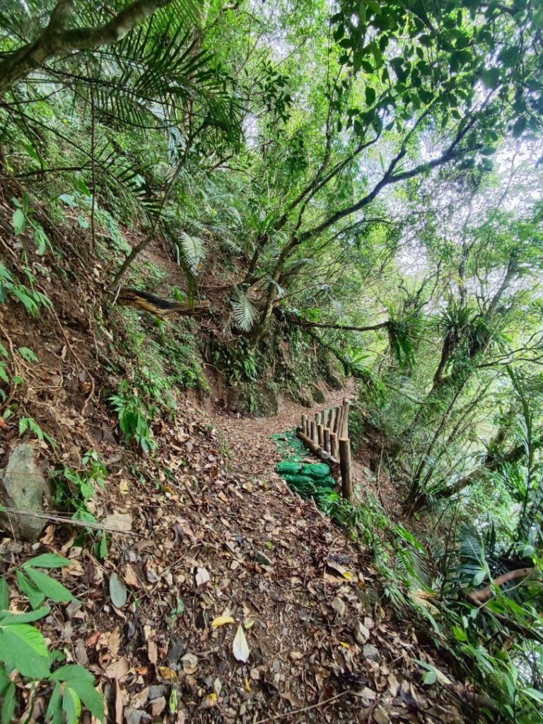 淡蘭古道第三段（我的淡蘭最終章）_2838806