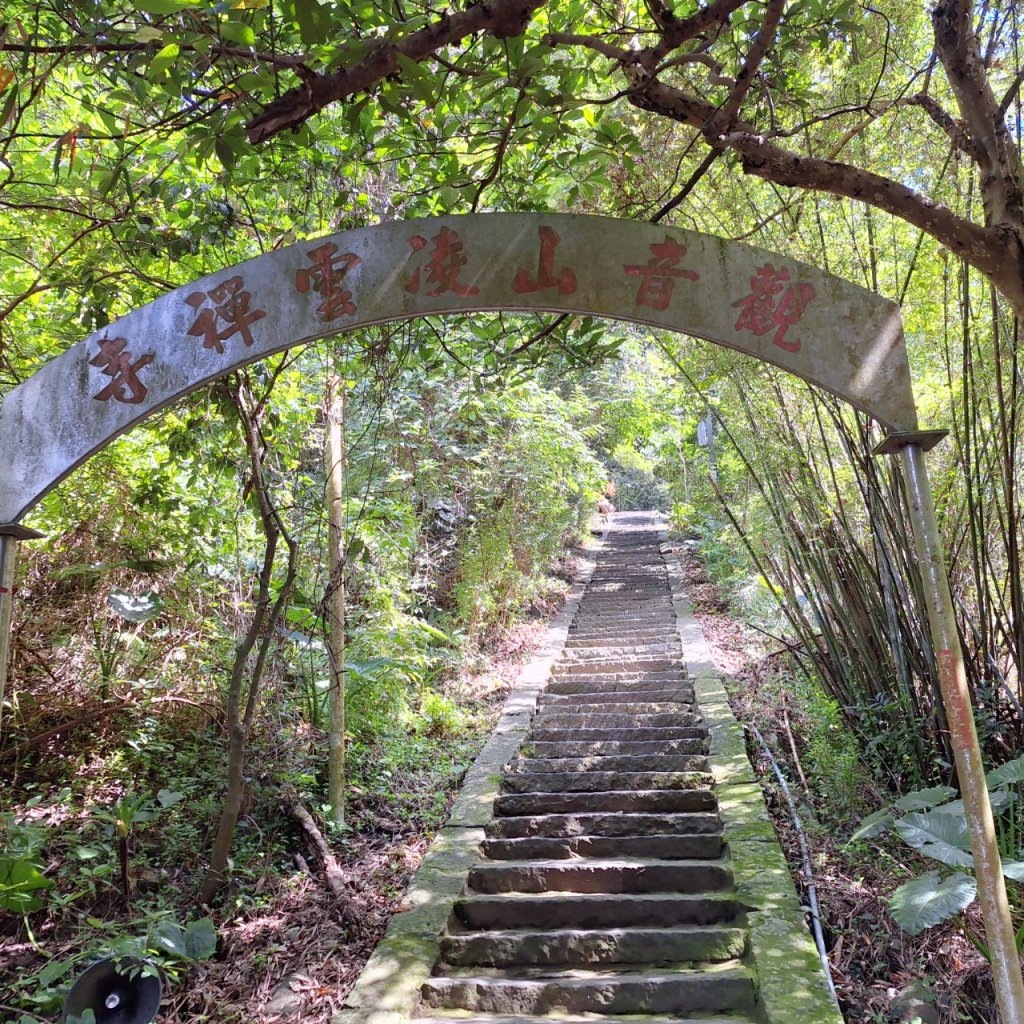 【2024觀音觀鷹尋寶任務】一日走完七條步道完成!_2508365