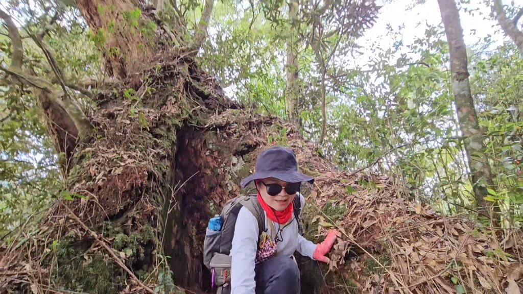 復興三尖之夫婦山_2356769