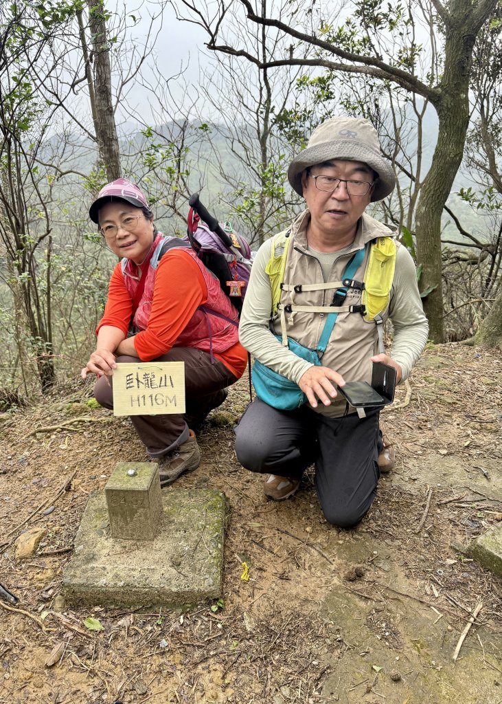 七上八下_2718046