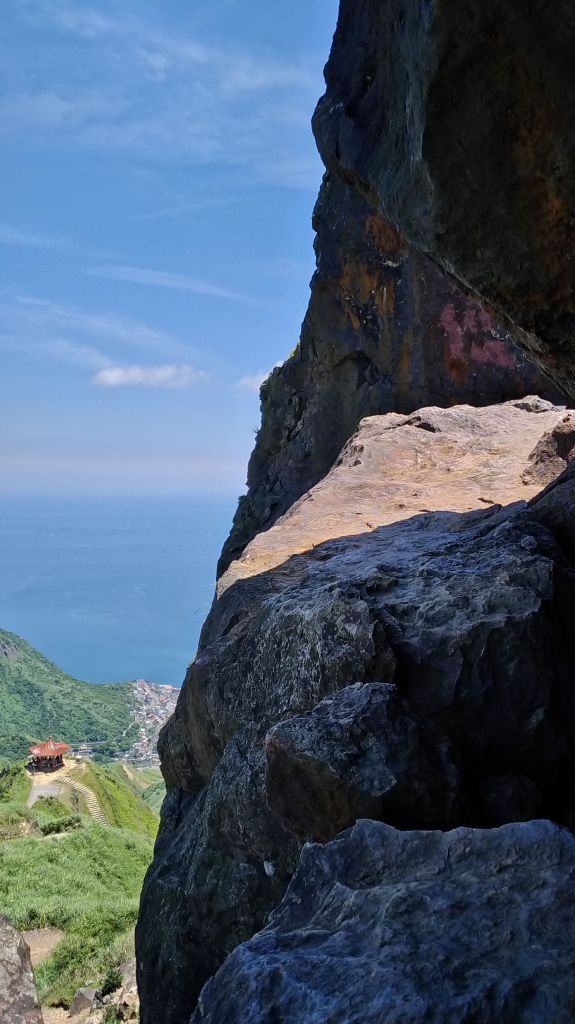 燦光寮山、黃金三稜_141651